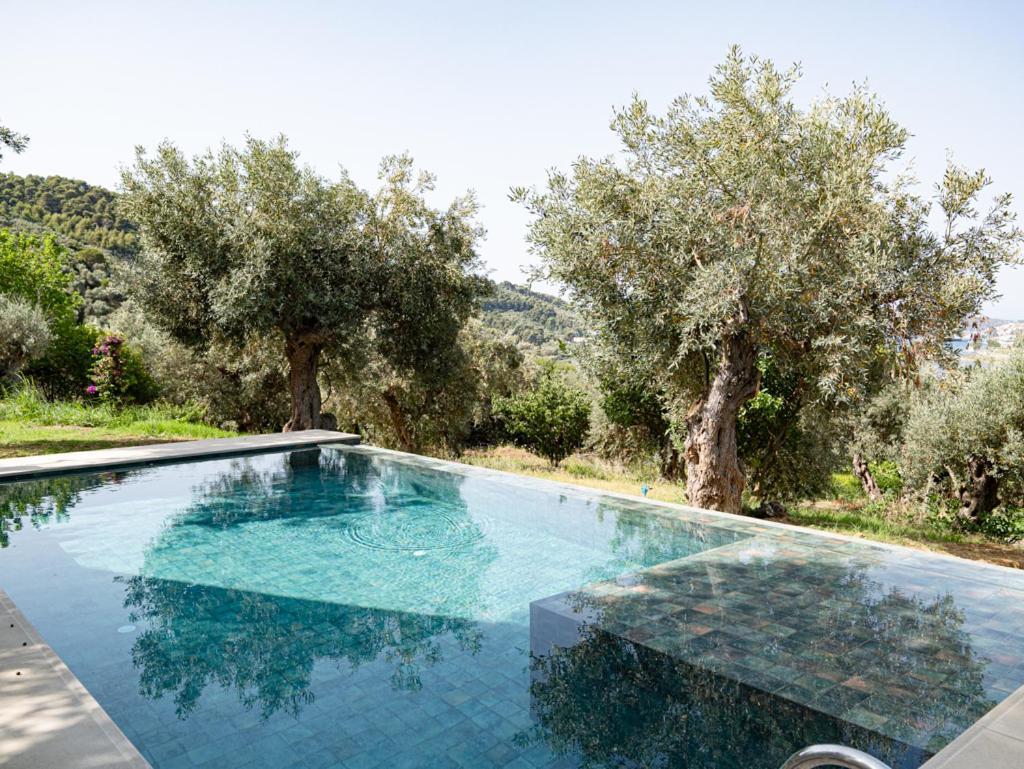 Dohos Skiathos Suites Ksanemos エクステリア 写真