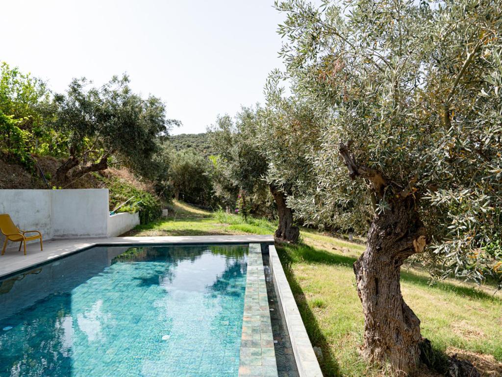 Dohos Skiathos Suites Ksanemos エクステリア 写真